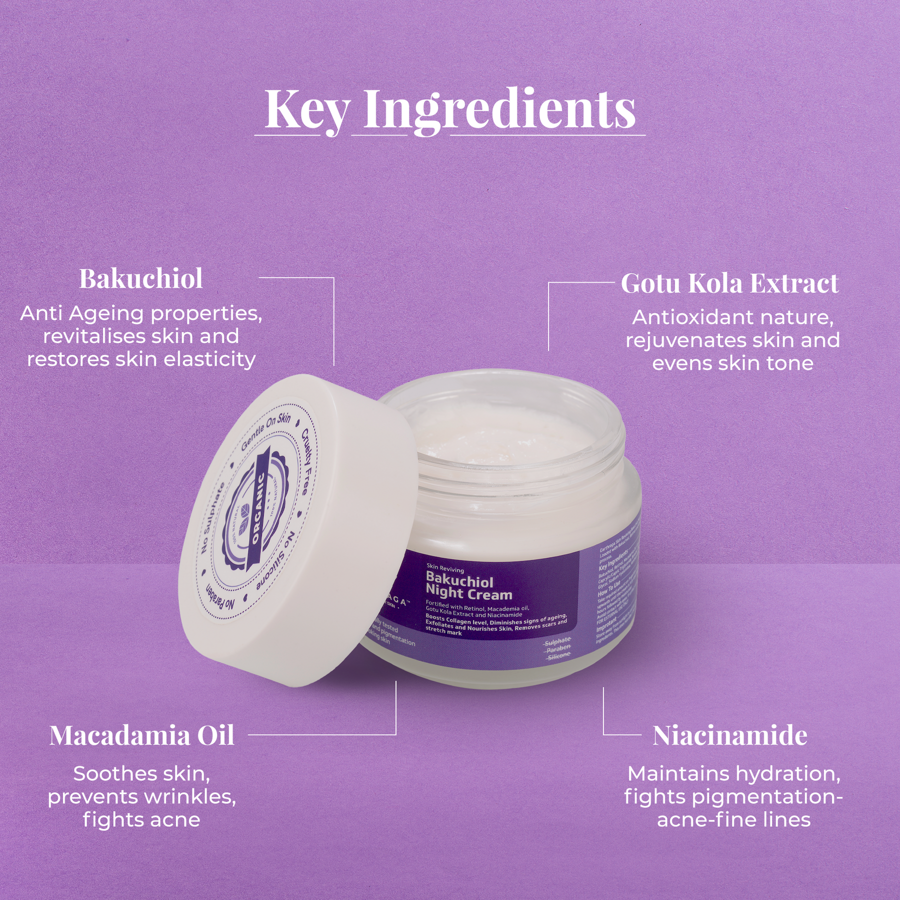 Earthraga Bakuchiol Day Cream & Night Cream Combo |  100gm X 2. - use code QR500 - get Rs. 500 off